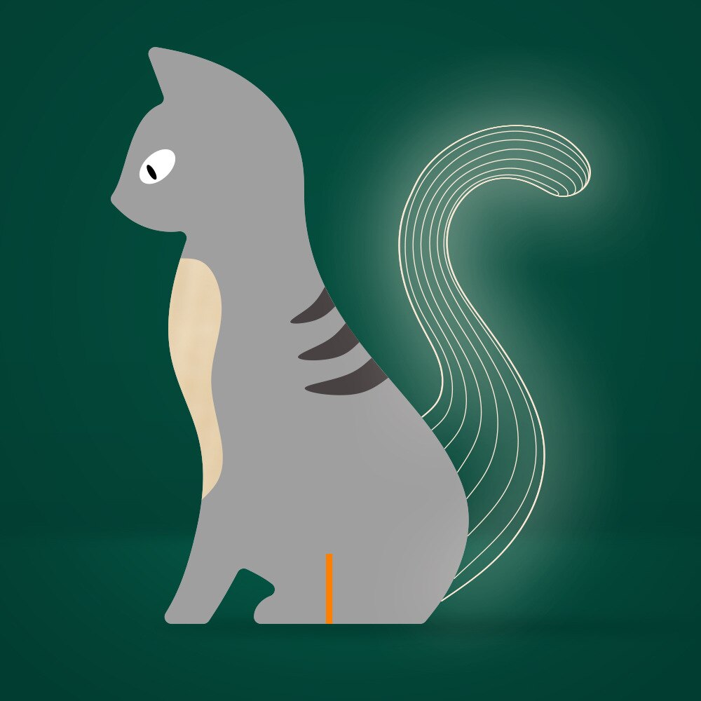 VEILLEUSE ANIMAUX BOIS - USB