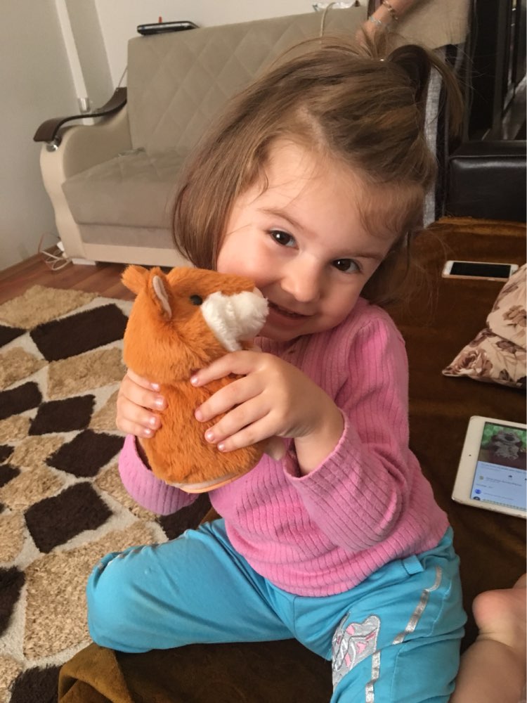TALKING PLUSH - HAMSTER