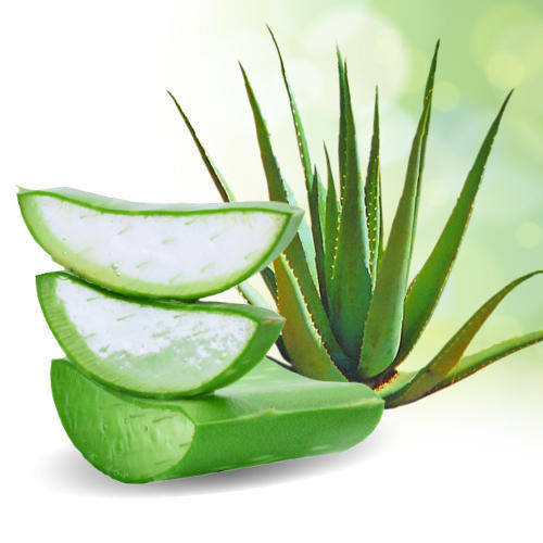 MOISTURIZING LIP BALM WITH ALOE VERA JELLY (99%)