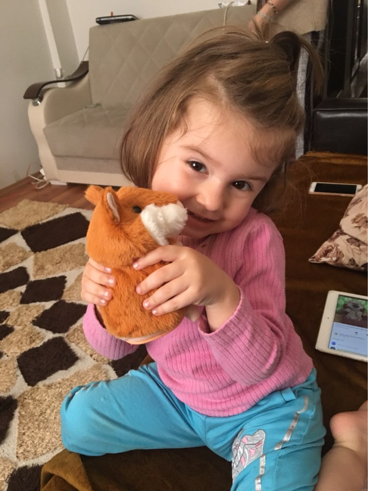 Nouveaux enfants Peluche jouet parlant hamster avec Maroc